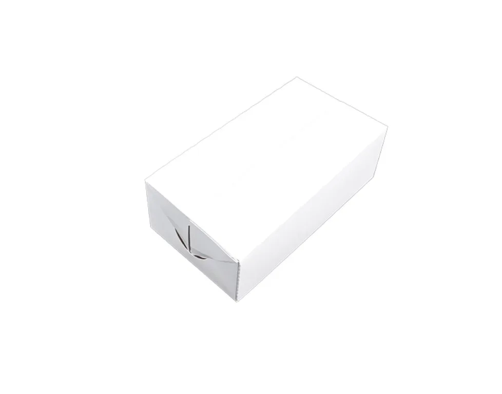 Caja Grande para Lunch Fast Top 9X5X3"