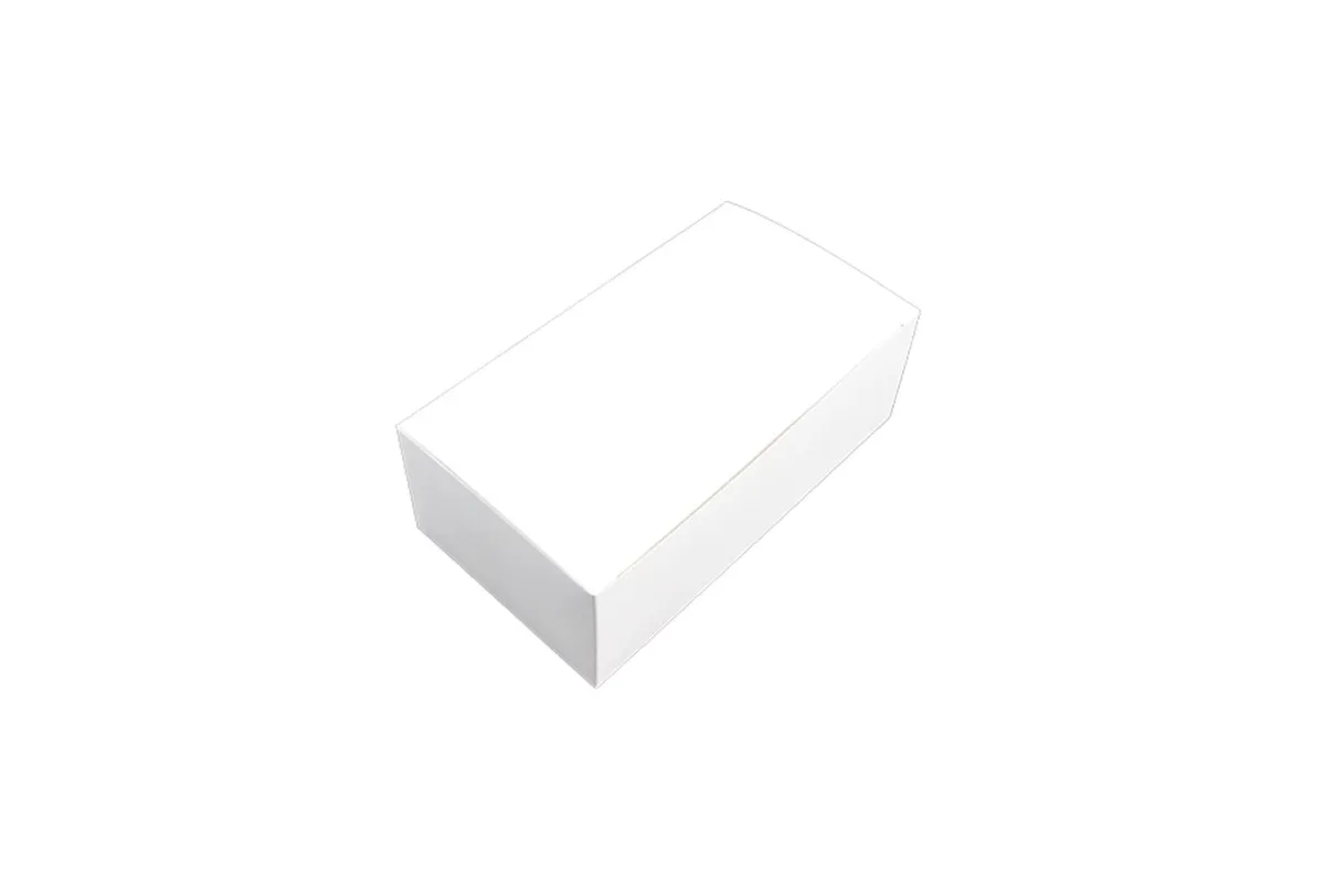 Caja Grande para Lunch con Tapa Tipo Pestaña