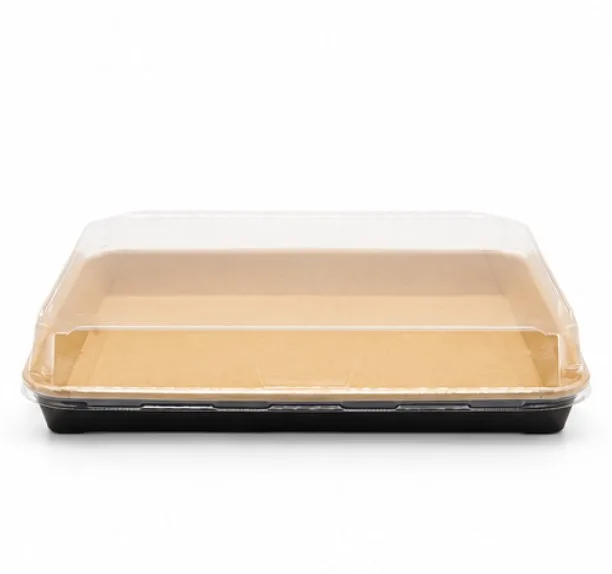 Contenedor para Sushi con Tapa 23.1X15.8X2.5